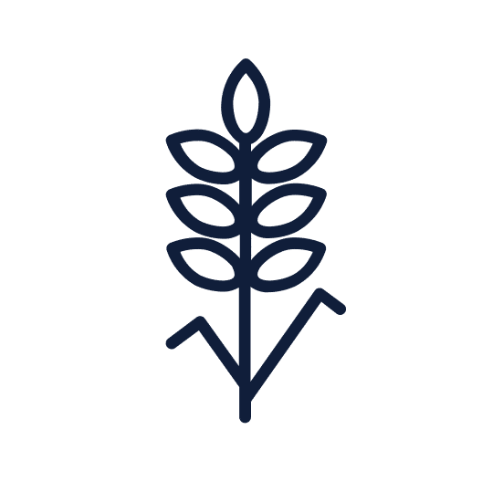 Épi de blé stylisé, symbole agricole